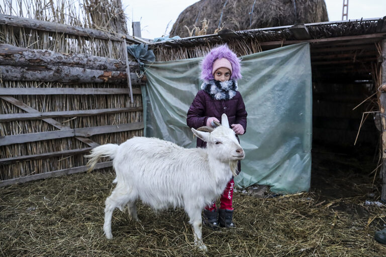 Una niña con una cabra en Romania